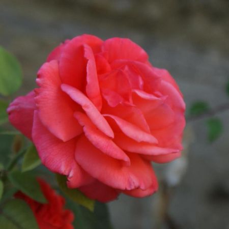 Romantic Gite Nr St Emilion With Private Pool And Views To Die For Pujols  외부 사진