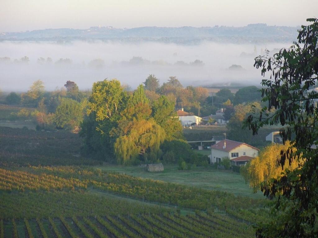 Romantic Gite Nr St Emilion With Private Pool And Views To Die For Pujols  외부 사진