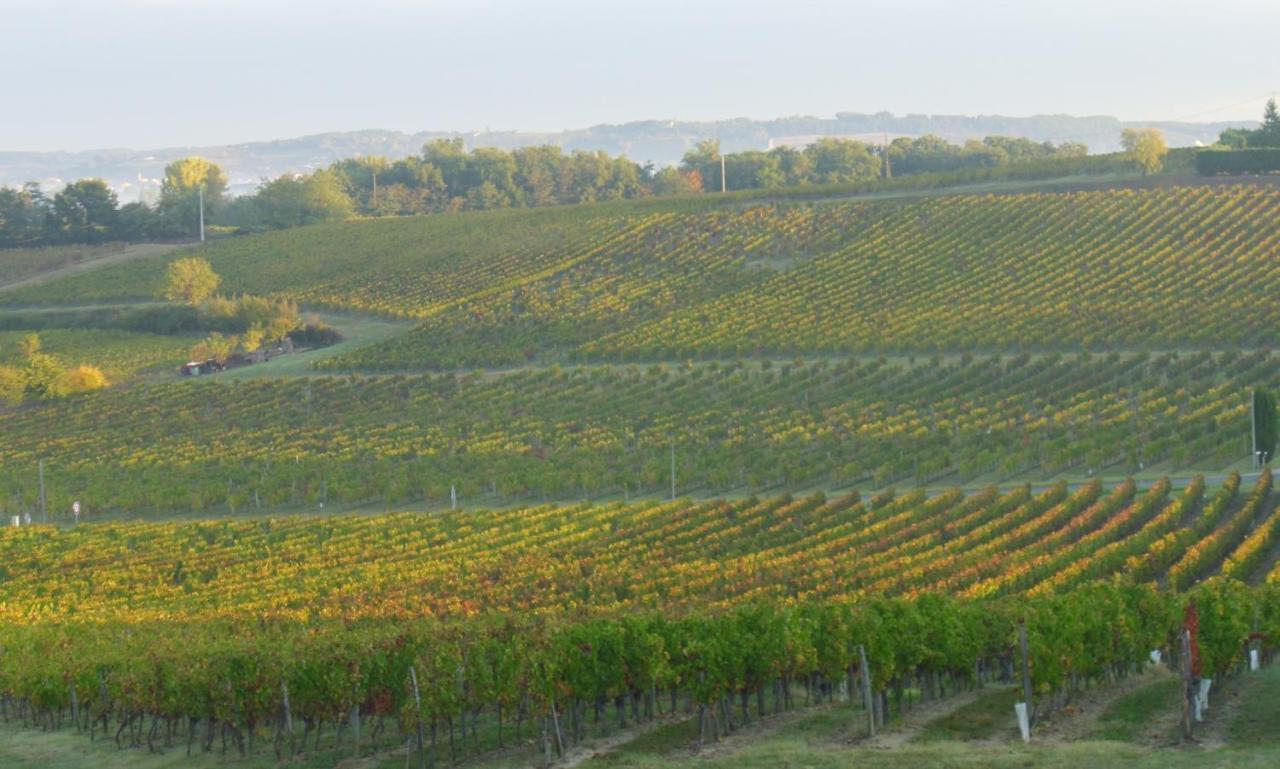 Romantic Gite Nr St Emilion With Private Pool And Views To Die For Pujols  외부 사진