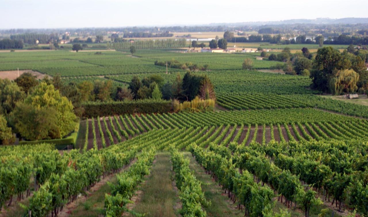 Romantic Gite Nr St Emilion With Private Pool And Views To Die For Pujols  외부 사진
